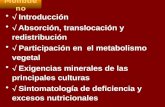 Introducción Absorción, translocación y redistribución Participación en el metabolismo vegetal Exigencias minerales de las principales culturas Sintomatología.