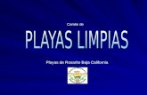 Comite de Playas de Rosarito Baja California. El Patrimonio que ha dado Reconocimiento Internacional a Rosarito, Baja California, es su Playa Soporta.