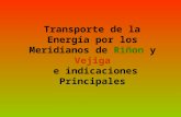 Transporte de la Energía por los Meridianos de Riñon y Vejiga e indicaciones Principales.