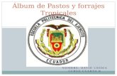 Álbum de Pastos y forrajes Tropicales DAVID UBIDIA