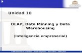 1  2006 Universidad de Las Américas - Escuela de Ingeniería - Bases de Datos - APAD y JJAA OLAP, Data Minning y Data Warehousing (Inteligencia empresarial)