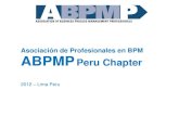 ABPMP Brief Link