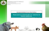 UNIVERSIDAD CENTRAL DE VENEZUELA Facultad de Agronomía Departamento de Producción Animal Maracay REQUERIMIENTOS PROTEÍNA Bases para su comprensión en especies.