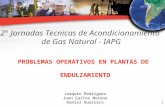 1 PROBLEMAS OPERATIVOS EN PLANTAS DE ENDULZAMIENTO Joaquin Rodriguez Juan Carlos Moreno Daniel Guerrero 2° Jornadas Tecnicas de Acondicionamiento de Gas.
