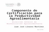 1 Componente de Certificación para la Productividad Agroalimentaria Dirección General de Normalización Agroalimentaria Juan José Linares Martínez Mayo.