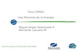 Foro CIPRES Uso Eficiente de la Energía Miguel Angel Valenzuela P. Bernardo Lazcano M.