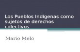 Los Pueblos Indígenas como sujetos de derechos colectivos Mario Melo.