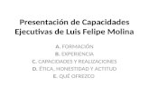 Presentación de Capacidades Ejecutivas de Luis Felipe Molina A. FORMACIÓN B. EXPERIENCIA C. CAPACIDADES Y REALIZACIONES D. ÉTICA, HONESTIDAD Y ACTITUD.