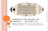 ORGANIZACIÓN BASADA EN PROCESO – LECCION III Modulo de Aplicación de los principios de calidad integral a los procesos productivos Ingeniero Nelson Vergara.