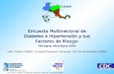 VIII o Taller CAMDI, Ciudad de Panamá, Panamá, noviembre 2006 1 Encuesta Multinacional de Diabetes e Hipertensión y sus Factores de Riesgo: Managua, Nicaragua.