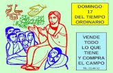 VENDE TODO LO QUE TIENE Y COMPRA EL CAMPO Mt. 13,44-52 DOMINGO 17 DEL TIEMPO ORDINARIO.