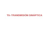 Fisiología I_T9_Transmisión sináptica