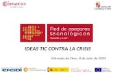 IDEAS TIC CONTRA LA CRISIS Miranda de Ebro, 8 de Julio de 2009.