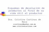 Esquemas de devolución de productos al final de su vida útil al productor Dra. Cristina Cortinas de Nava ccortinasd@yahoo.com.mx .