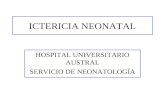 ICTERICIA NEONATAL HOSPITAL UNIVERSITARIO AUSTRAL SERVICIO DE NEONATOLOGÍA.