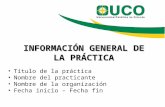 INFORMACIÓN GENERAL DE LA PRÁCTICA Título de la práctica Nombre del practicante Nombre de la organización Fecha inicio – Fecha fin.