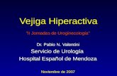 Vejiga Hiperactiva “II Jornadas de Uroginecología” Dr. Pablo N. Valentini Servicio de Urología Hospital Español de Mendoza Noviembre de 2007.
