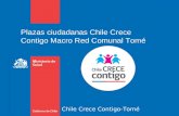 Chile Crece Contigo-Tomé Plazas ciudadanas Chile Crece Contigo Macro Red Comunal Tomé