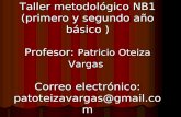 Taller metodológico NB1 (primero y segundo año básico ) Profesor: Patricio Oteiza Vargas Correo electrónico: patoteizavargas@gmail.com.