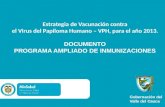 Estrategia de Vacunación contra el Virus del Papiloma Humano – VPH, para el año 2013. DOCUMENTO PROGRAMA AMPLIADO DE INMUNIZACIONES Gobernación del Valle