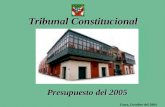 Tribunal Constitucional Lima, Octubre del 2004 Presupuesto del 2005.