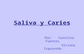 Saliva y Caries Por: Carolina Fuentes Viviana Izquierdo.