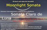 Moonlight Sonata Siéntate Cóomodamente y Disfruta de La Bellísima Sonata Claro de Luna (y aprende algo sobre la vida de su autor: Ludwig Van Beethoven)