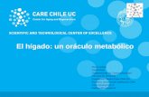 El hígado: un oráculo metabólico Marco Arrese Hepatólogo Departamento de Gastroenterología Facultad de Medicina Investigador Senior/Care-Chile UC Pontificia.