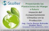 Impacto del Comportamiento Climático en la Producción Proyectando las Plantaciones de Mango a futuro Ing. Carlo Rosas Estrada Stoller Perú Guayaquil 5.