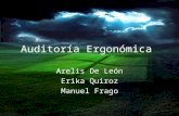 Auditoría Ergonómica Arelis De León Erika Quiroz Manuel Frago.