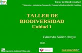 Taller de Biodiversidad Voluntarios y Voluntarias Ambientales Protegen la Biodiversidad del Cantillana Ingeniería Ambiental Chile Ltda. TALLER DE BIODIVERSIDAD.