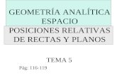 GEOMETRÍA ANALÍTICA ESPACIO POSICIONES RELATIVAS DE RECTAS Y PLANOS TEMA 5 Pág: 116-119.