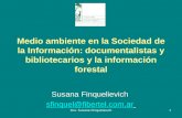 Finquelievich, Medio Ambiente En La Sociedad De La InformacióN (2)