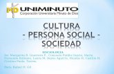 Cultura sociología, persona social