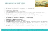 Sindromes Psicoticos