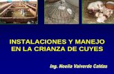 Instalaciones y Manejo Ayacuchoing Noelia Valverde