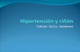 Hipertensión y riñón