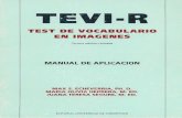 TEVI Instrucciones PDF