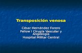 Transposicion venosa