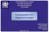 Intoxicacion organoclorados