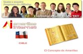 Amarillas Internet Chile oportunidad de negocio de publicidad por internet