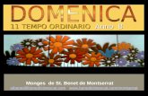 11 TEMPO ORDINARIO Anno B Monges de St. Benet de Montserrat stbenet@benedictinescat.com  stbenet@benedictinescat.com.