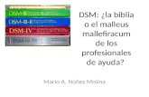 DSM: ¿la biblia o el malleus mallefiracum de los profesionales de ayuda?