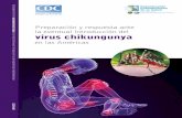 Virus Chikungunya OPS