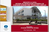 Foro Acuícola 2013 - MEGATEC La Unión Sistema de Producción Intensiva de Camarón Marino con Tecnología BIOFLOC