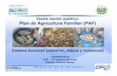 Foro Acuícola 2013 - Visión sector público: Proyectos cadena de camarón acuícola del PAF