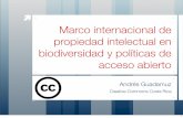 Marco internacional de propiedad intelectual en biodiversidad y políticas de acceso abierto