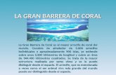 1579 barrera-coral-(menudospeques.net)