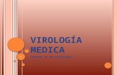 Virología medica