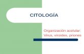 Organización acelular: Virus, viroides, priones